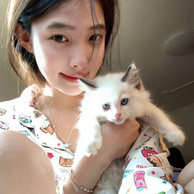 抚清愁