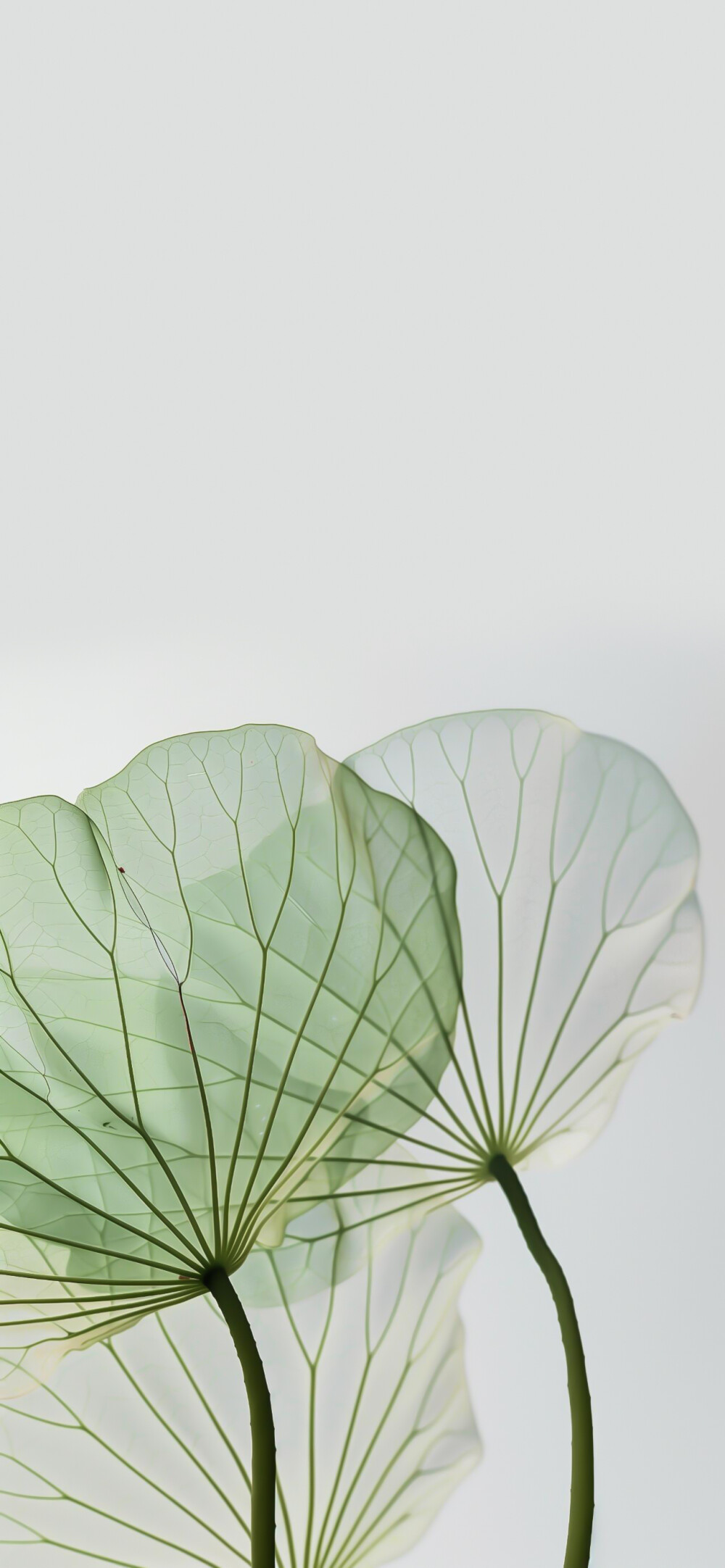 心宽便会百事从欢