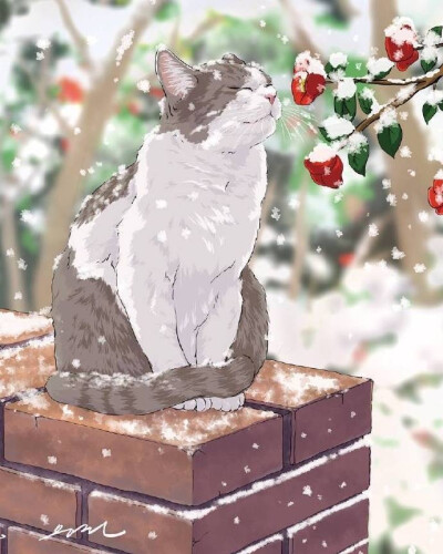 猫，雪，动漫