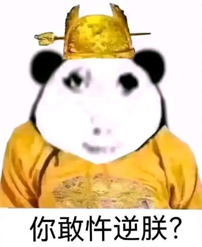 龙