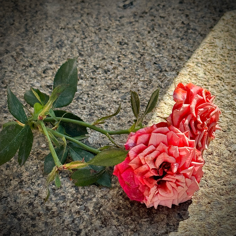 花草