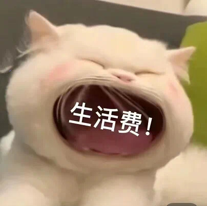 大嘴猫表情包 我扛不住了