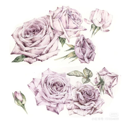 画师是调色盘小姐啊