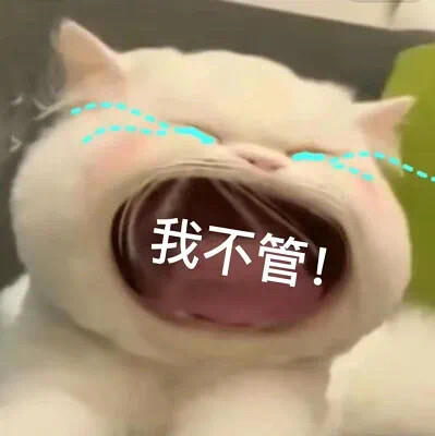 大嘴猫表情包 我扛不住了