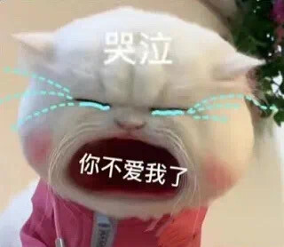 大嘴猫表情包 我扛不住了