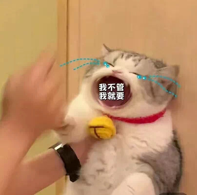 大嘴猫表情包 我扛不住了