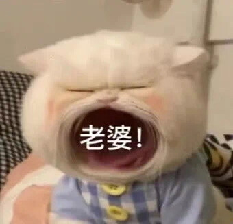 大嘴猫表情包 我扛不住了