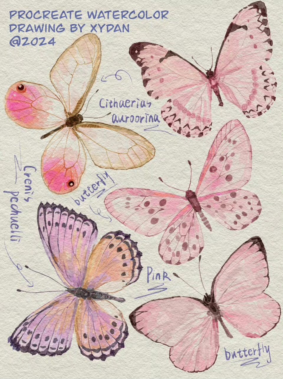 “献给我的蝴蝶” ​