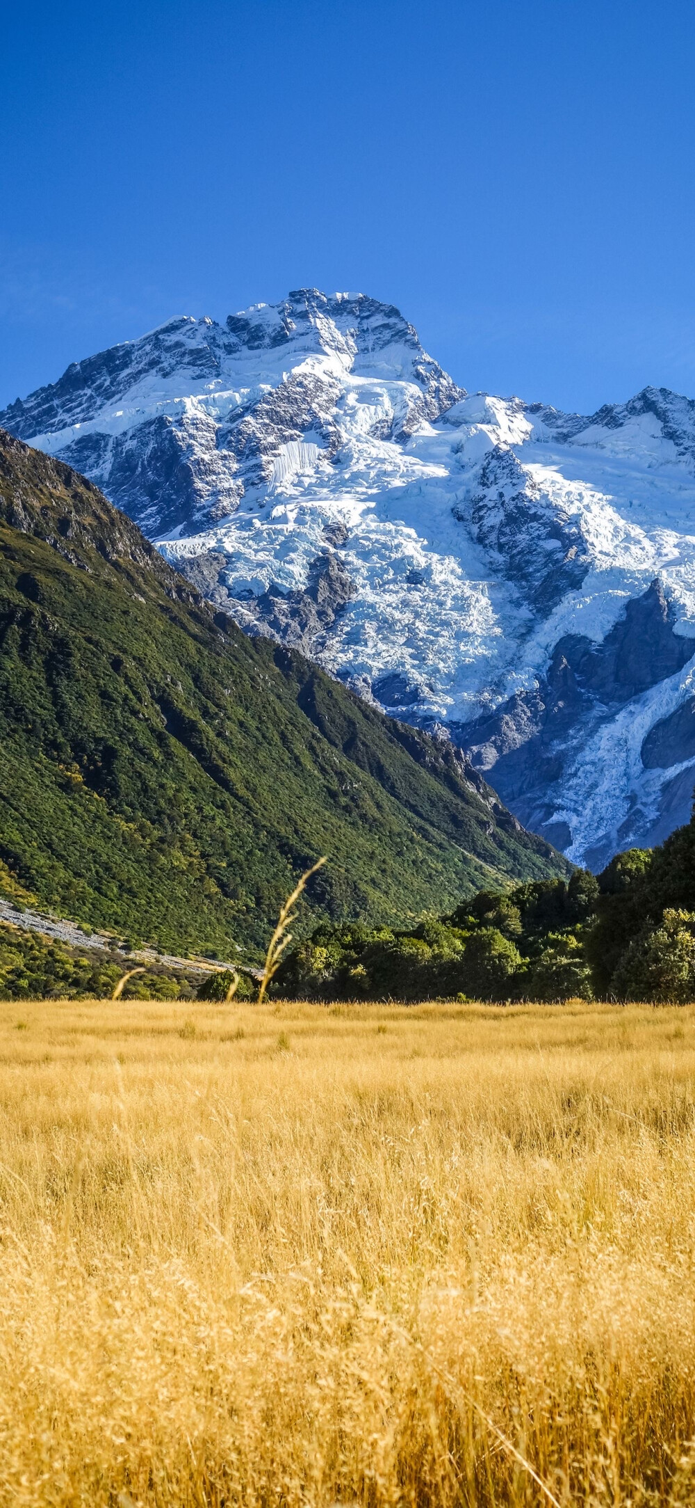 风景