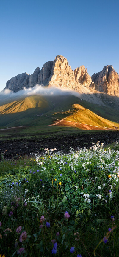 风景