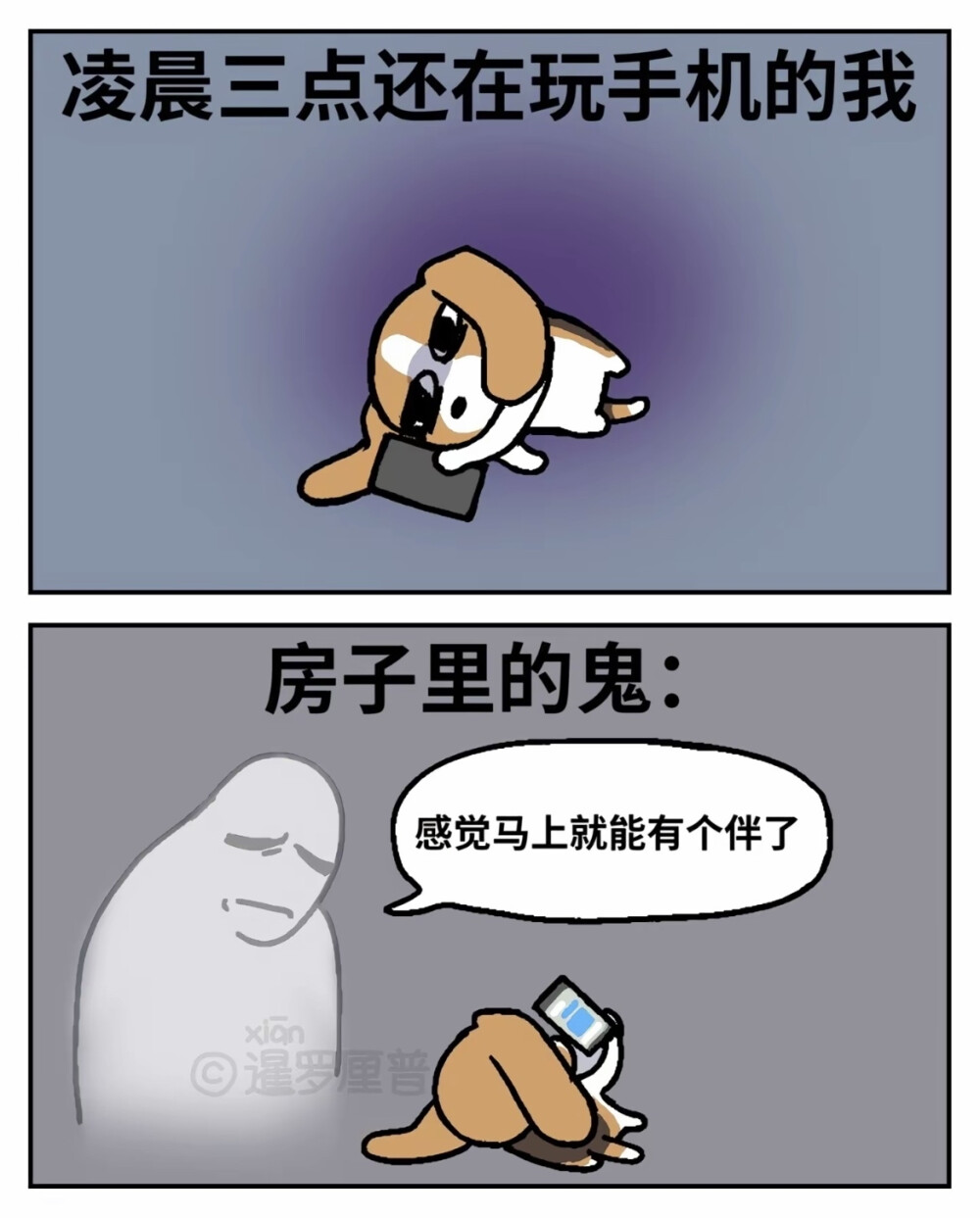 抖音暹罗厘普