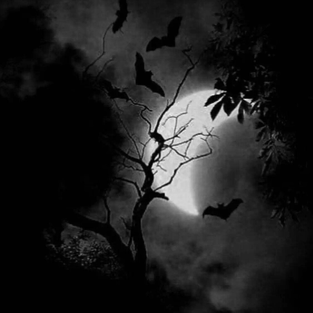 黑色朋友圈背景封面