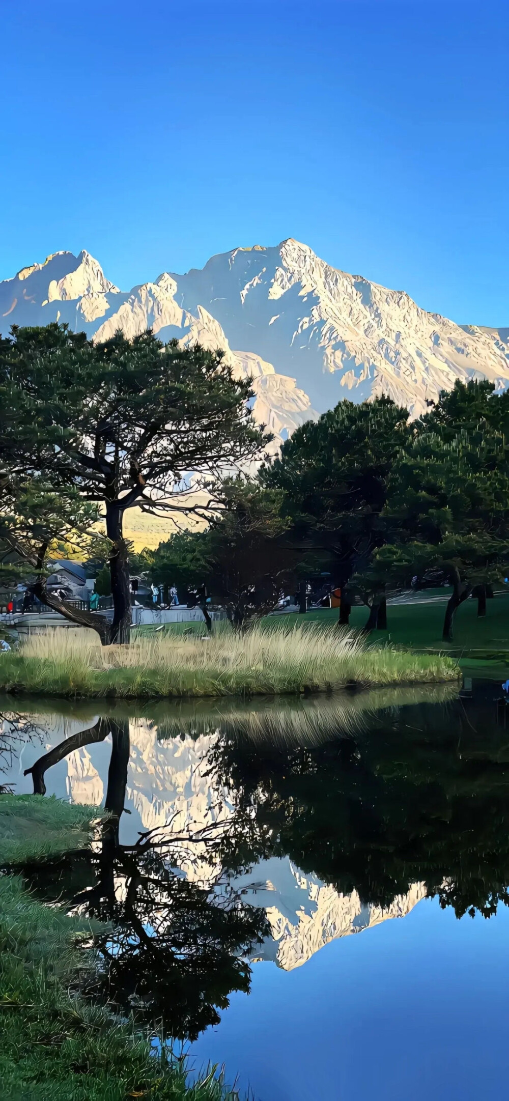 夏日自然壁纸
侵删