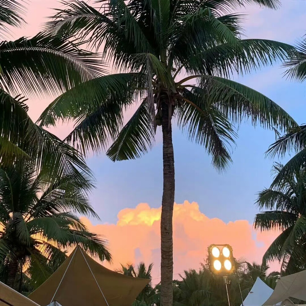 背景·图源微博