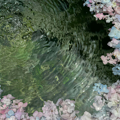 水中花背景图