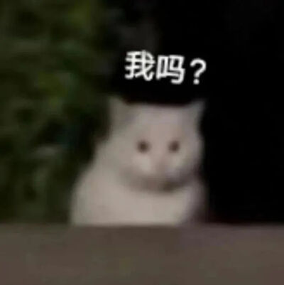 我吗？