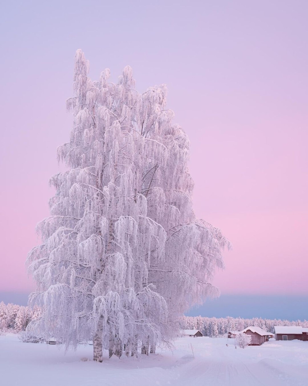 雪