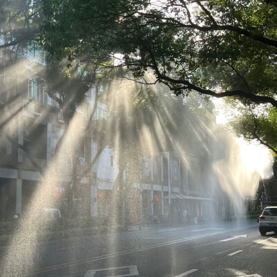 枯木逢春拿图点赞