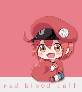 红血球&白血球