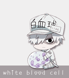 红血球&白血球