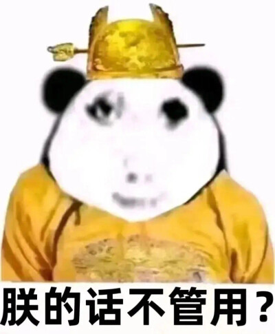 好用龙图