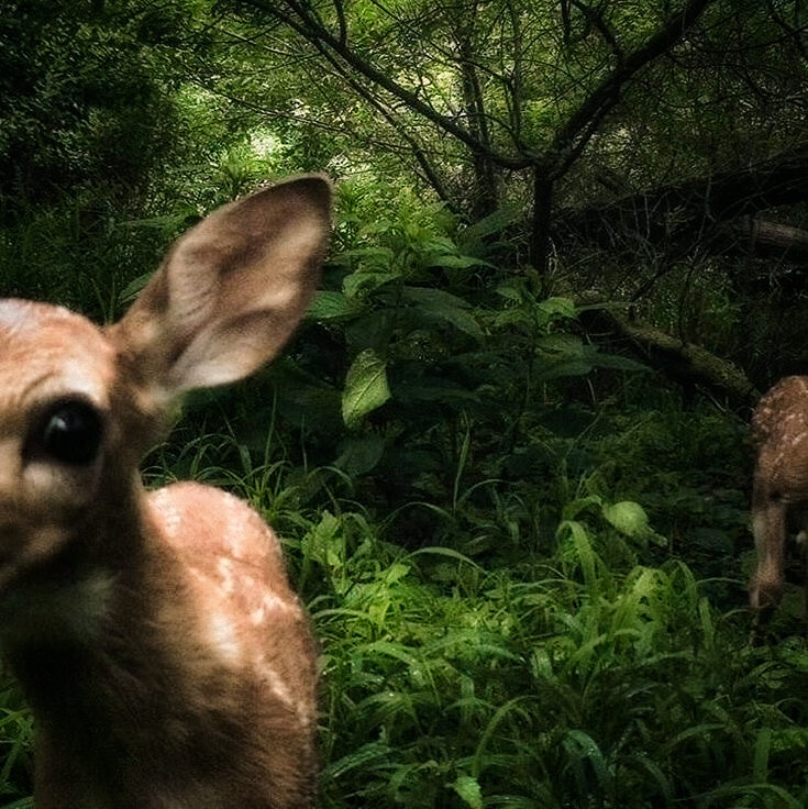 金艺琳套图可二改