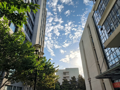 在南京生活了两年，附上一些随手拍了。