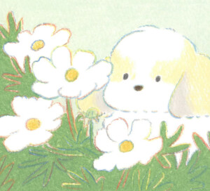 治愈系小动物插画
画师：teraoka_natsumi ​​​