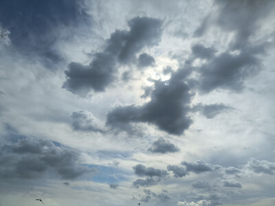 在南京生活了两年，附上一些随手拍了。