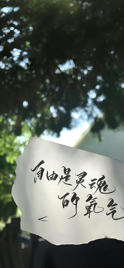 细玲欧巴@