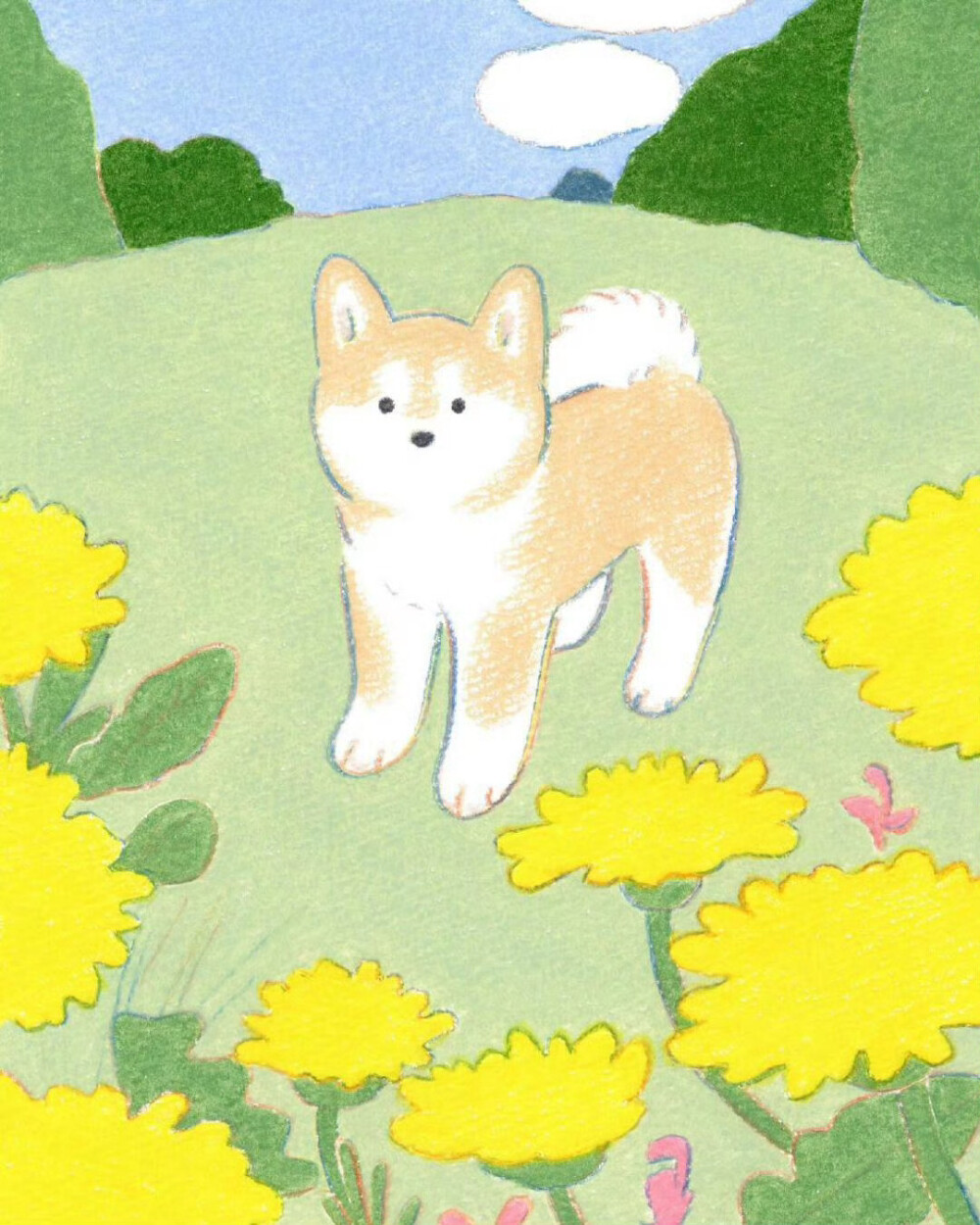 治愈系小动物插画画师:teraoka_natsumi