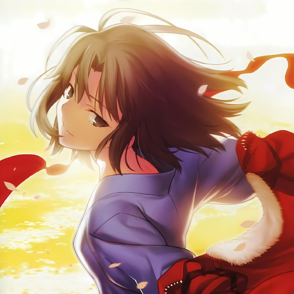 两仪式 空之境界