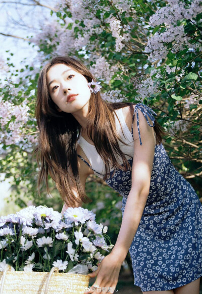 春天喜欢季节的所有花
摄影:@白鹤雙儿 ​​​