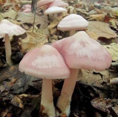 在雨停时你可以等等我吗