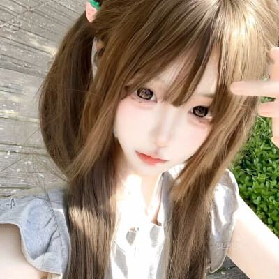 想栽一棵树四季常青