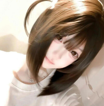 想栽一棵树四季常青