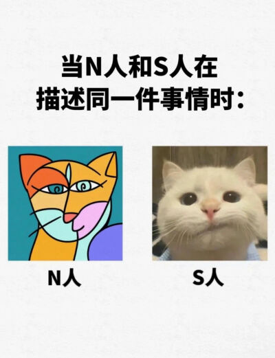 N人与S人