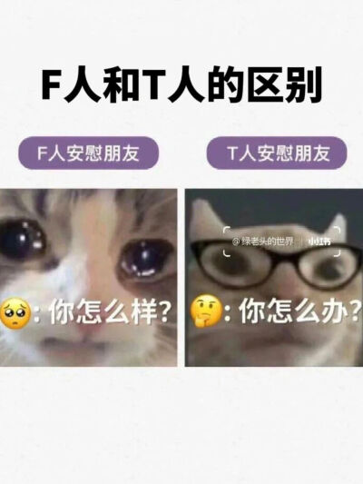 F人与T人