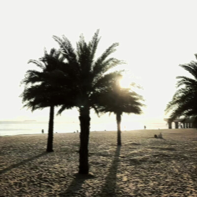 漂亮女鹅꒰ ´͈ ᵕ `͈ ꒱