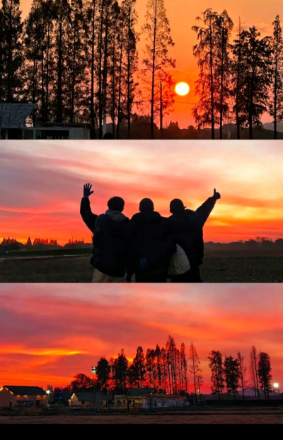 十个勤天（夕阳与少年）