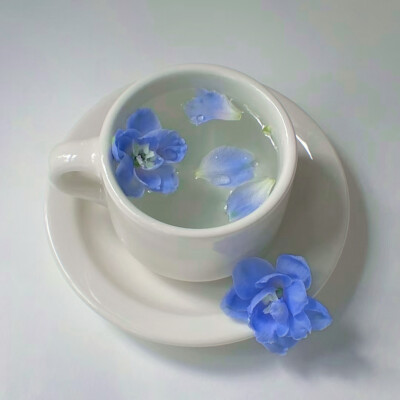 blue-＾