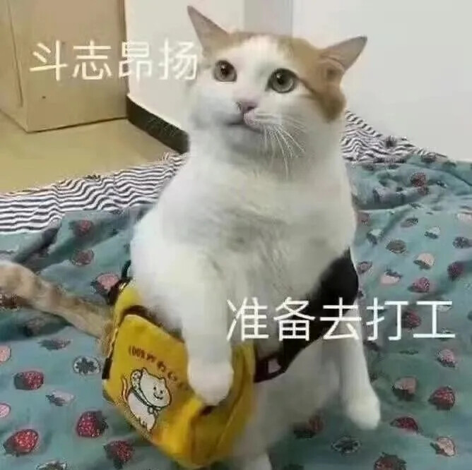 猫猫表情包