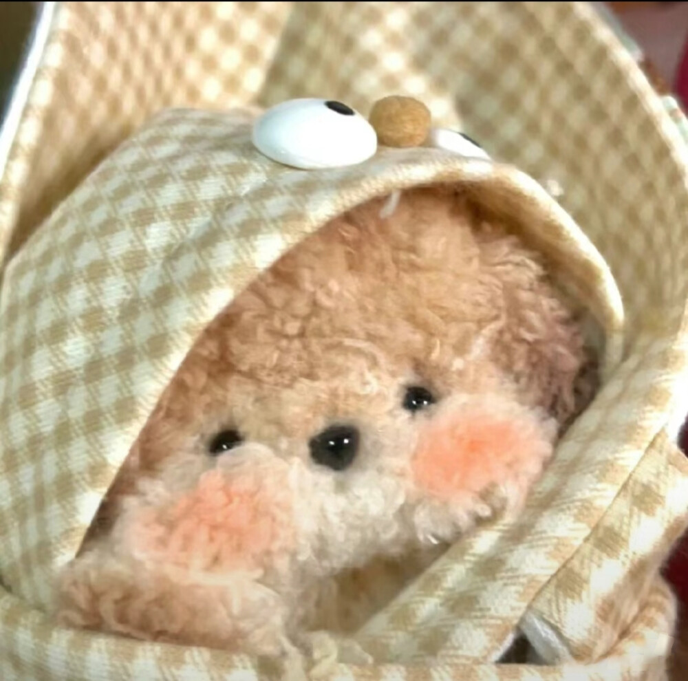 情侣头像可爱泰迪头像