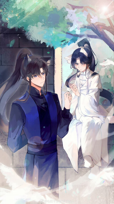 二哈和他的白猫师尊