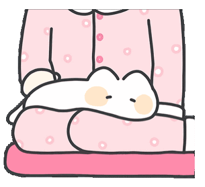 猫猫
