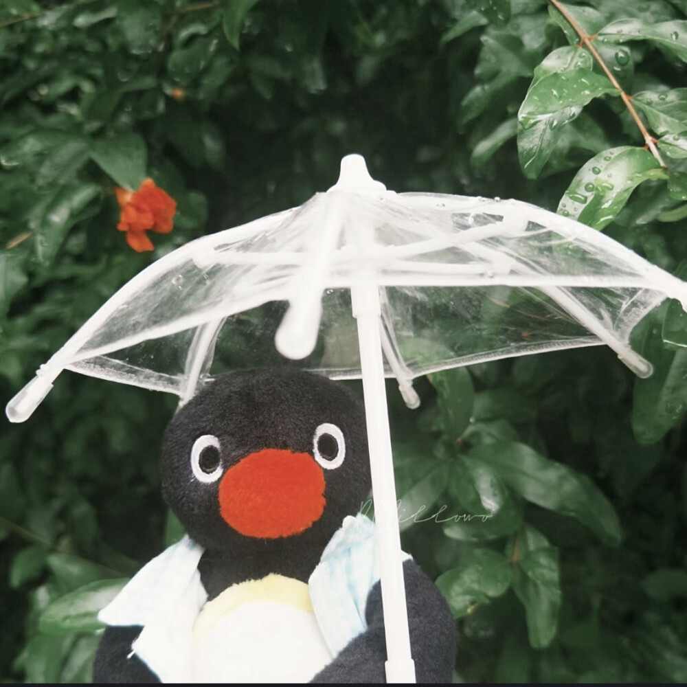 pingu