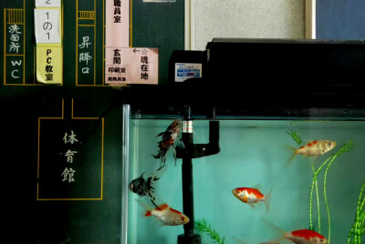 复古 iPad壁纸 平板壁纸