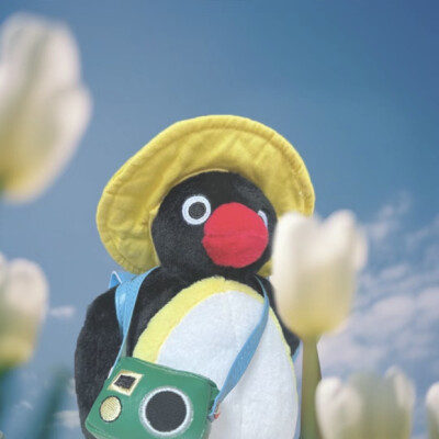 pingu