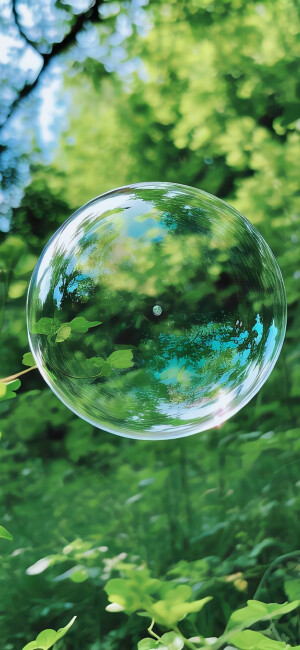 夏日清新绿色护眼壁纸 超nice！ ​​​