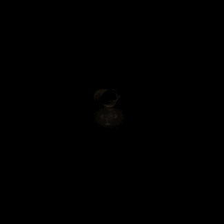 动态